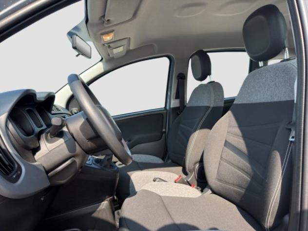 FIAT Panda Panda 1.0 FireFly Hybrid City Life rif. 24026722 - Foto 9
