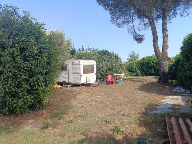 Seminativo in vendita a Cerveteri - Foto 6