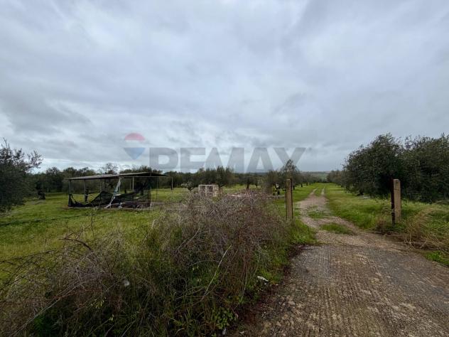 Terreno in vendita a Chiaramonte Gulfi - Foto 2