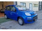 FIAT Panda 1.0 FireFly S&S Hybrid  km.o rif. 23789801