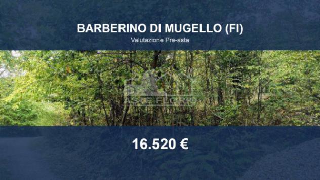 Immobile in asta di 54494 m² in vendita a Barberino di Mugello