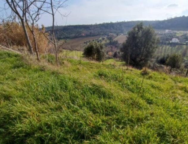Immobile in asta di 9000 m² in vendita a Lapedona - Foto 2