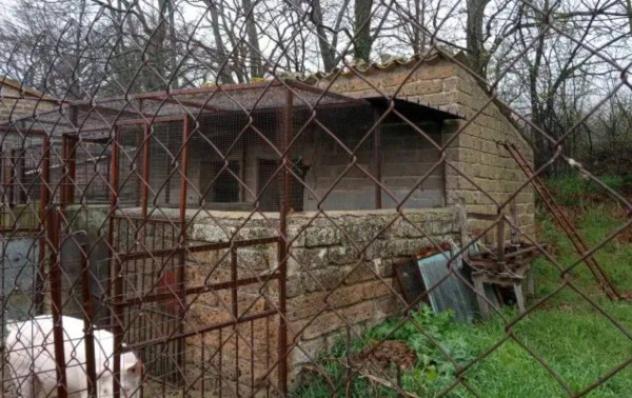 Immobile in asta di 455 m² in vendita a Sorano - Foto 2