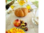 Agriturismo Le Cantine