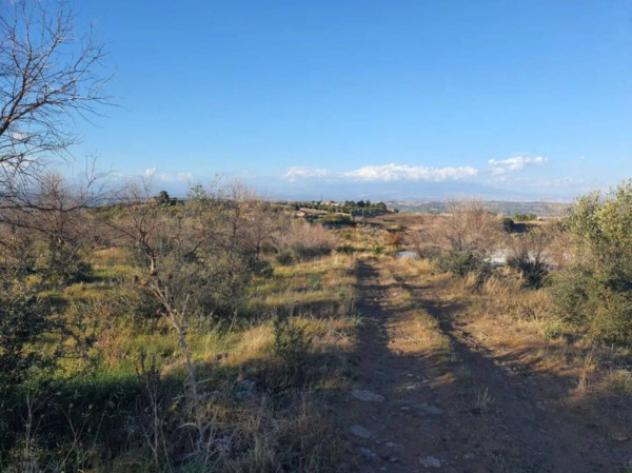 Immobile in asta di 37140 m² in vendita a Carlentini - Foto 8