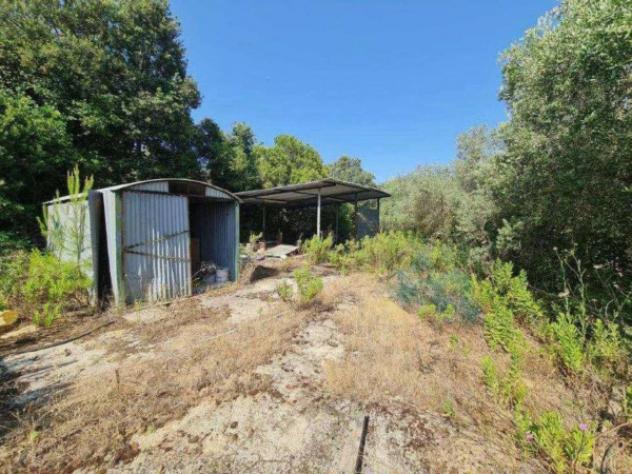 Immobile in asta di 3385 m² in vendita a Monte Argentario - Foto 5