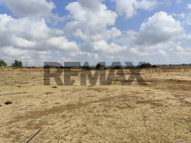 Terreno in vendita a Siracusa, Cassibile - Foto 14
