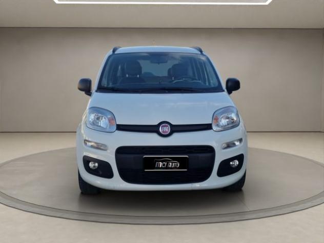 FIAT Panda 1.2 Easy rif. 24180403 - Foto 8