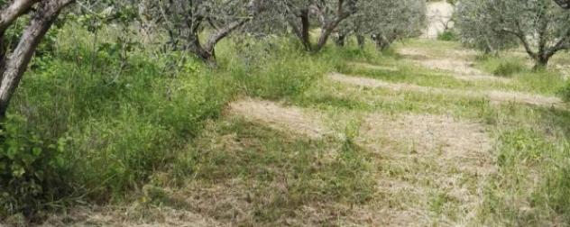 Immobile in asta di 374 m², box auto in vendita a Notaresco - Foto 4