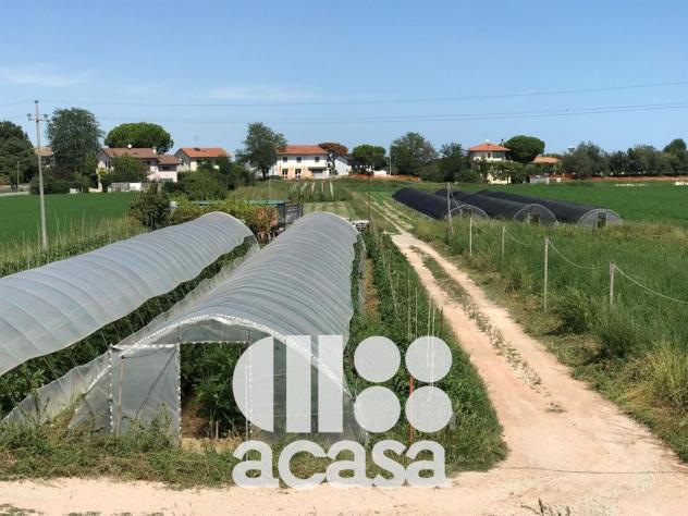 TERRENO AGRICOLO CON POZZO ARTESIANO - Foto 7