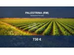 Immobile in asta di 468 m² in vendita a Palestrina