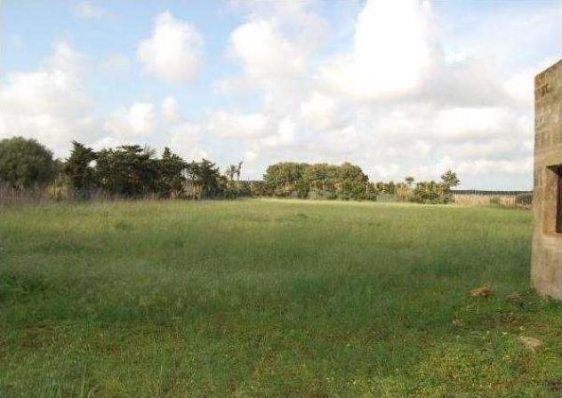 1819 - In vendita a Petrosino ampio terreno - Foto 2
