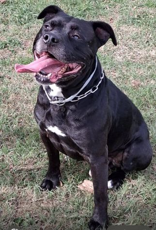 Chanel e Pablo - Foto 4