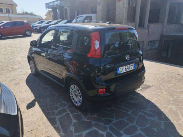 Fiat Panda Panda III 1.0 firefly hybrid s - Foto 6