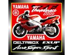ADESIVI YAMAHA YZF 1000 - THUNDERACE