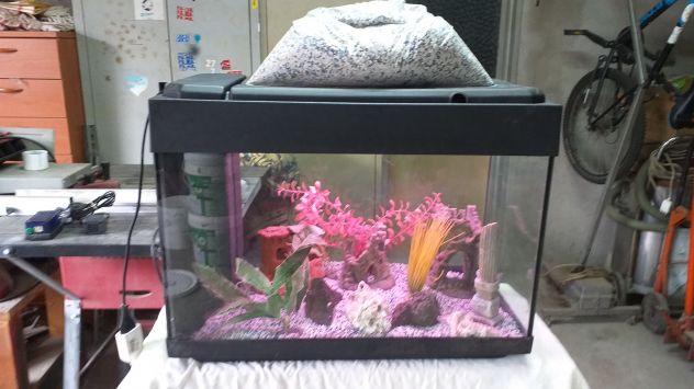 ACQUARIO 60x30x47 - Foto 3