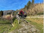 Rustico in vendita a Diecimo - Borgo a Mozzano 55 mq  Rif: 1310728