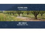 Immobile in asta di 55030 m² in vendita a Cutro