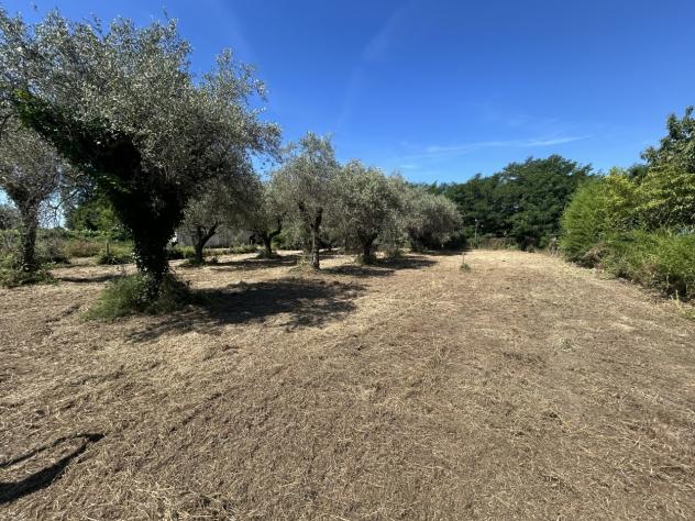 Terreno edif. residenziale in vendita a Luni 120 mq Rif: 1427755 - Foto 8