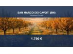Immobile in asta di 2322 m² in vendita a San Marco dei Cavoti