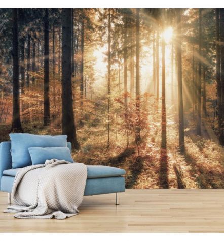 Fotomurale Adesivo Immerso Nella Foresta Arredalacasa