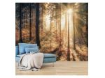 Fotomurale Adesivo Immerso Nella Foresta Arredalacasa