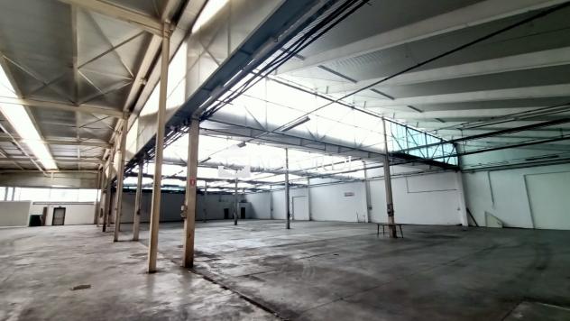 CAPANNONE di 3 vani e di 3025 mq (PEDEROBBA) rif. BL012 - Foto 4