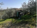 Agricolo in Via di Ventena