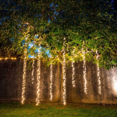 noleggio Cascata a LED rami a luce calda