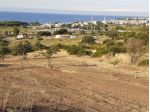 Terreno agricolo in Vendita in zona Centro a Santa Marinella