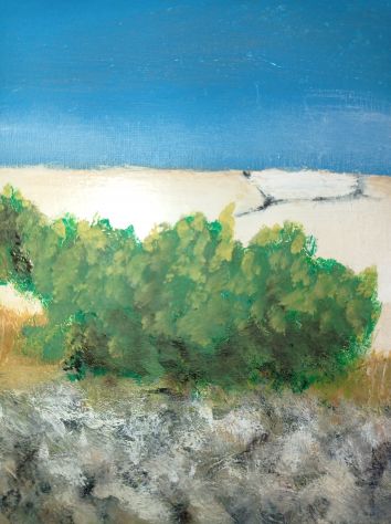 Invaso pappadai - olio su tela - 40x60 cm. - Foto 4