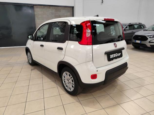 FIAT Panda 1.0 FireFly S&S Hybrid rif. 21774725 - Foto 8