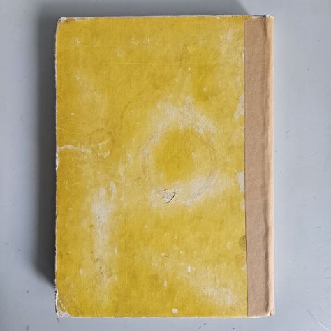 Peter Pan - J.M.Barrie - Fratelli Fabbri Ed - 1955 - SPEDIZIONE TRACCIATA! - Foto 7