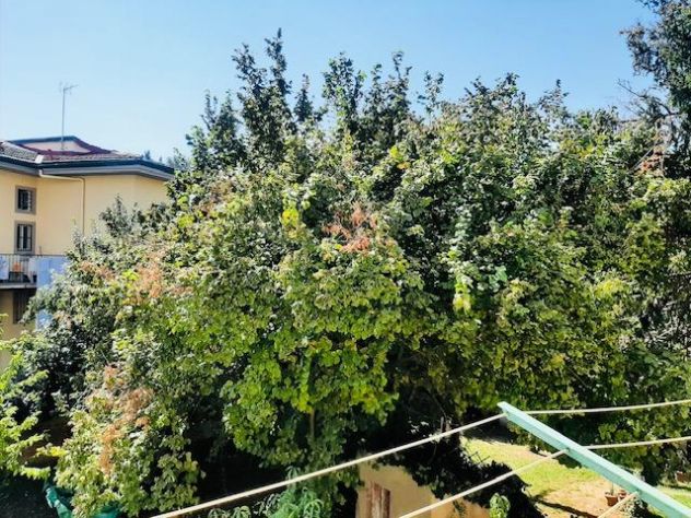 🏡✨ 2 STANZE SINGOLE LIBERE DAL 1° OTTOBRE! ✨🏡 - Foto 3