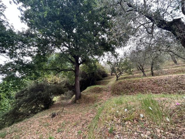 Agricolo in vendita a Arcola - Foto 15