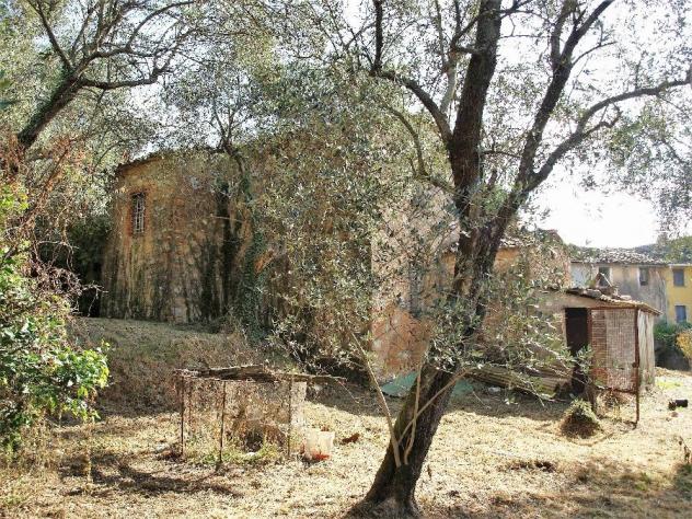 RUSTICO di 6 vani e di 200 mq (CAMAIORE - Pieve di Camaiore) rif. 187 - Foto 8