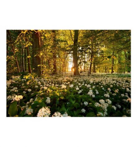Fotomurale Adesivo Nella Foresta Fiorita Arredalacasa - Foto 2