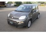 FIAT Panda 1.0 FireFly 70cv S&S Hybrid