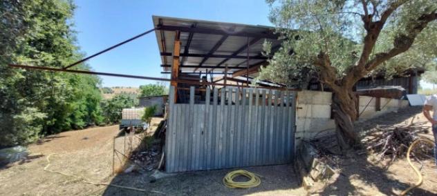 Immobile in asta di 2983 m² in vendita a Bellante - Foto 8