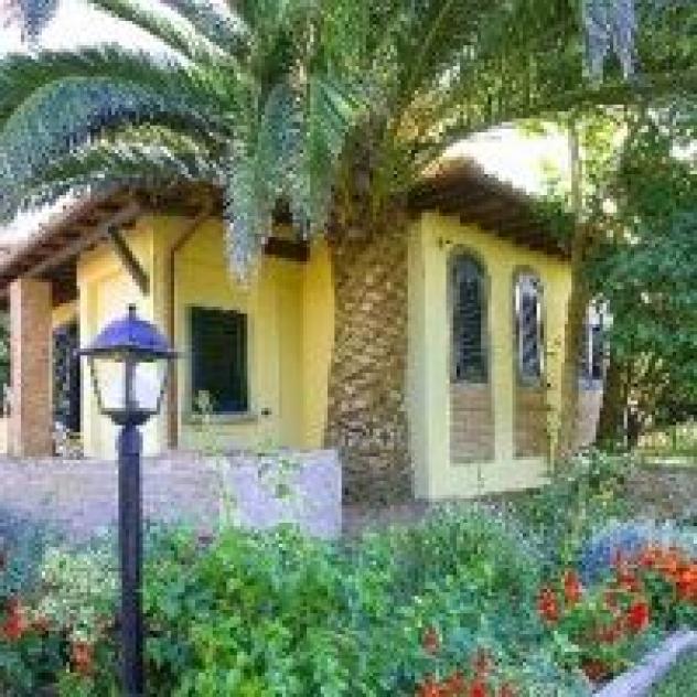 Borgo Dino S.r.l. - Foto 3