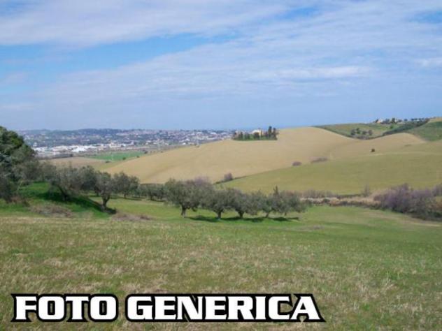 Terreno agricolo in vendita a Vecchiano 200000 mq Rif: 1365218