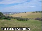 Terreno agricolo in vendita a Vecchiano 200000 mq  Rif: 1365218