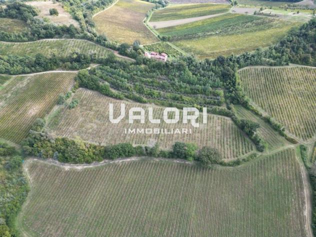 PODERE AGRICOLO DI CIRCA HA 31 OLTRE A CORTE CON CASA COLONICA E SERVIZI - Foto 14
