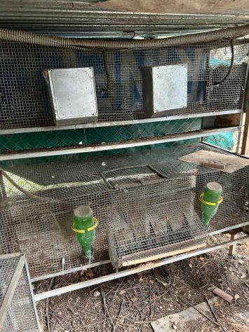 🐰🥕In vendita gabbie per conigli di diverse dimensioni.