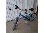 Bicicletta bimbo/a 20"