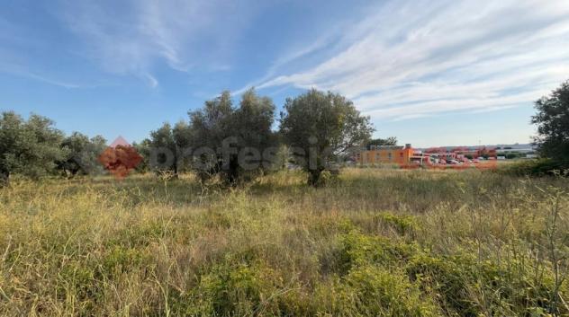 Terreno Agricolo - Tivoli . Rif.: Cod. rif 3337870VCG - Foto 2