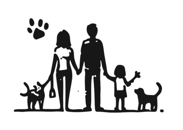 Aiutante per famiglia serio bravo italiano automunito