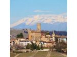 Leon D'Oro di Sottero Mario