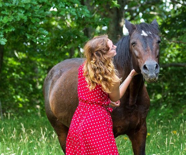 Corso Interattivo di Animal Communication