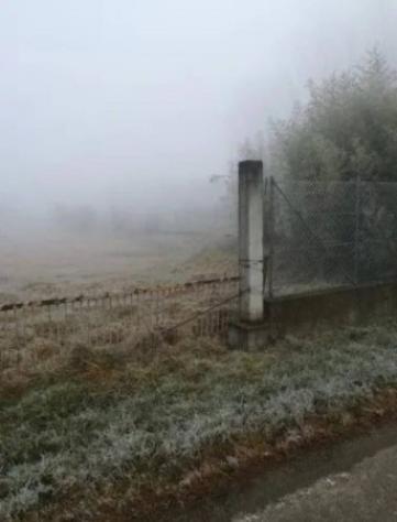 Immobile in asta di 4160 m² in vendita a Caorso - Foto 4